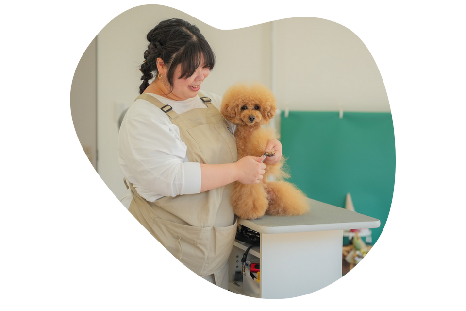 無理強いをしないトリミングサロン。優しいトリミングを大切にしています。